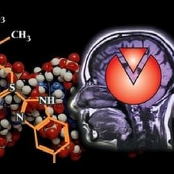 Neuropharmacology_3rd International Pharmaceutical Conference and Expo